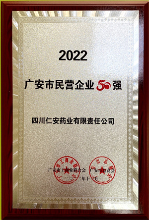 2022.11 廣安市民營企業(yè)50強